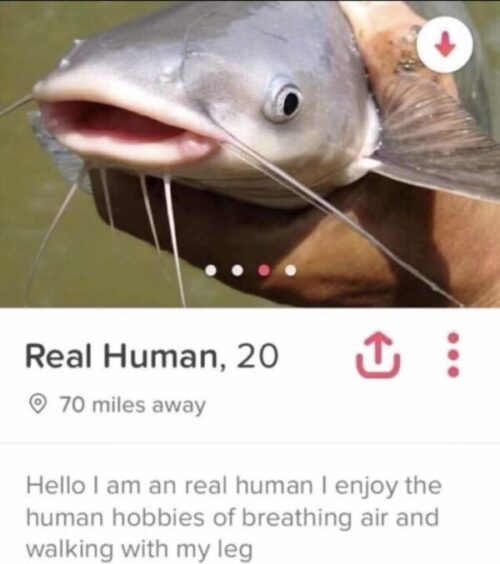 Fish pickup meme