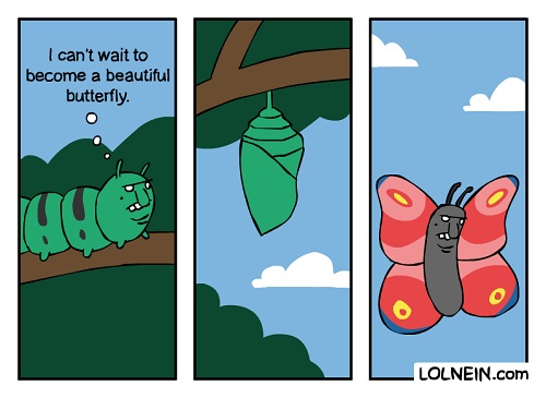 butterfly comic