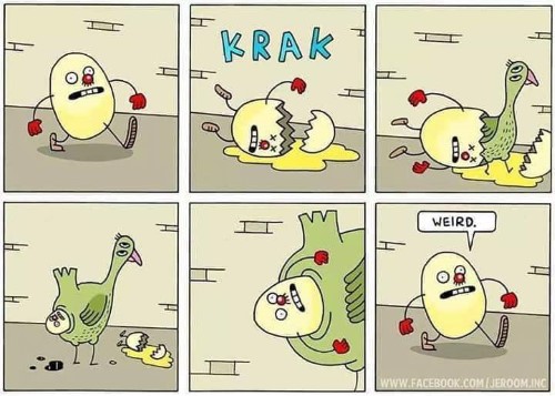weird egg comic
