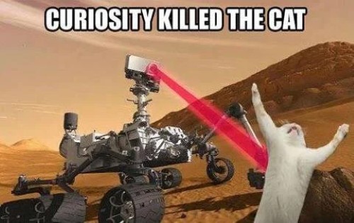 curiosity killed the cat meme