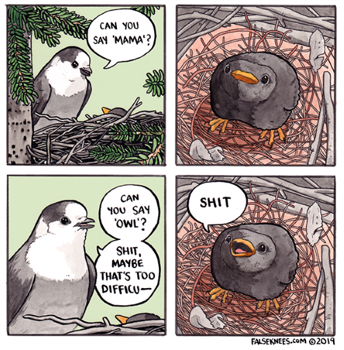 baby bird comic