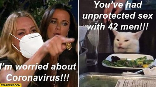 coronavirus cat meme