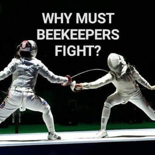 beekeeper meme