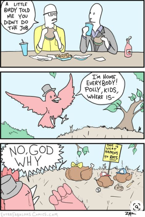little birdy comic