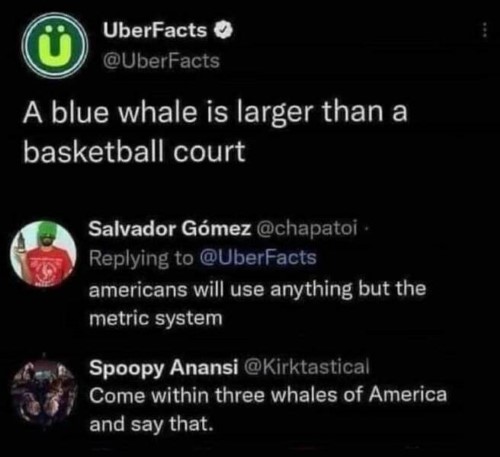 whale meme