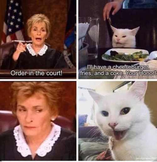 Order in the court meme
