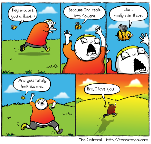happy bee comic