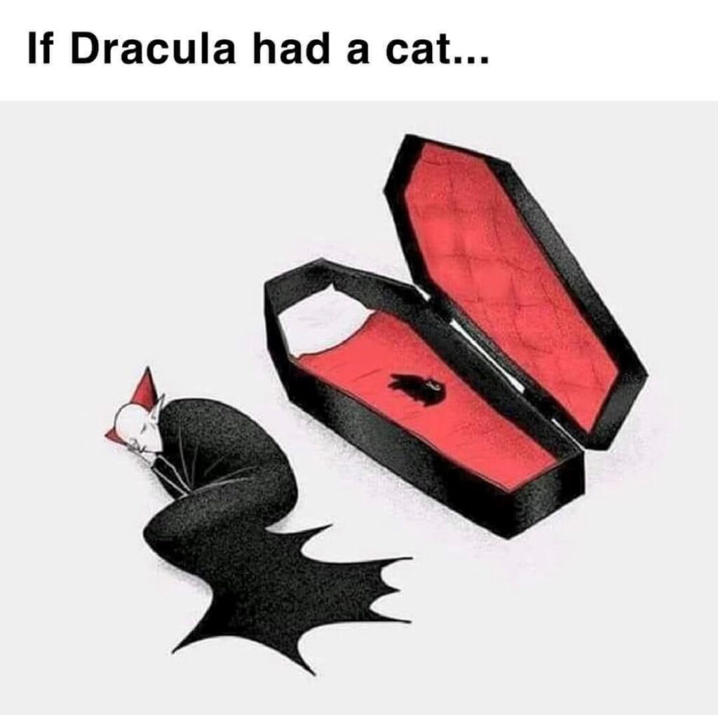 dracula-cat meme