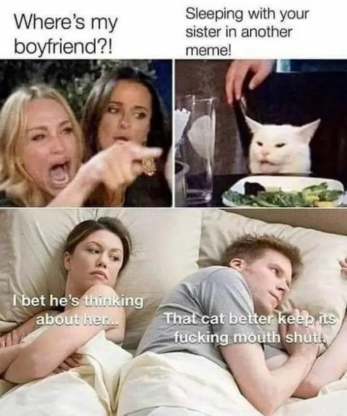 cat-couple meme
