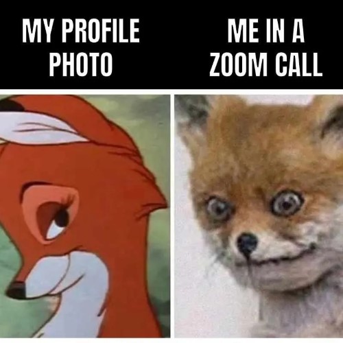 zoom meme