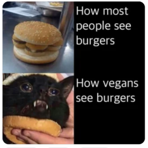 cat burger meme